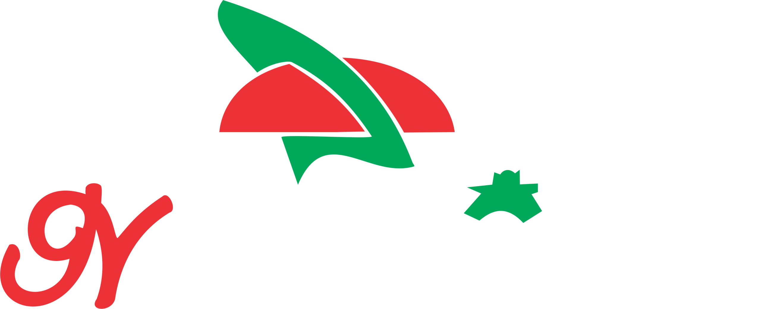 4. neekoi wisata